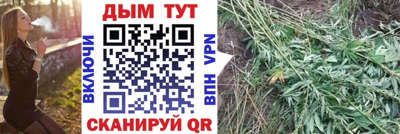 Каннабис ГИДРОПОН  Льгов 